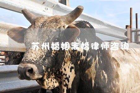 苏州婚姻离婚律师咨询 苏州婚姻离婚律师咨询