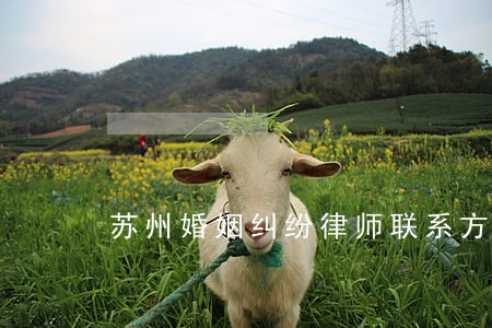 苏州婚姻纠纷律师联系方式 苏州婚姻纠纷律师联系方式
