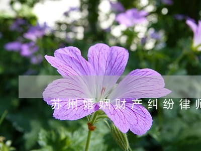 苏州婚姻财产纠纷律师服务网站