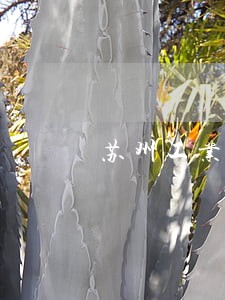 苏州工业园区人民法院诉讼网 苏州工业园区人民法院诉讼网