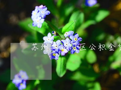 苏州工业园区公积金贷款逾期 苏州工业园区公积金贷款逾期