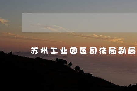 苏州工业园区司法局副局长赵海晨