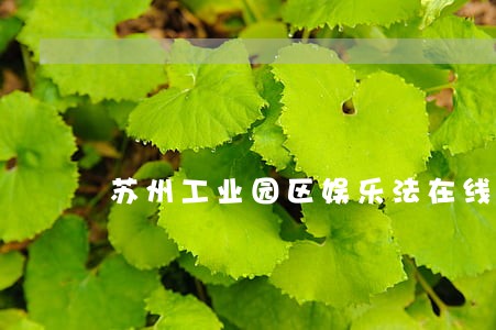 苏州工业园区娱乐法在线律师 苏州工业园区娱乐法在线律师