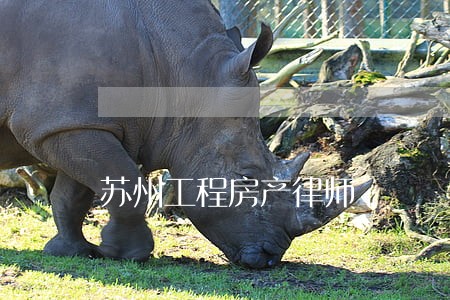 苏州工程房产律师 苏州工程房产律师