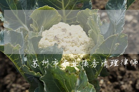 苏州市专业债务清理律师服务热线 苏州市专业债务清理律师服务热线