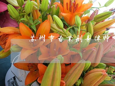 苏州市专业刑事律师哪里找