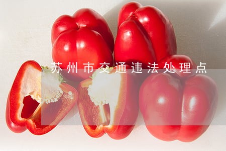 苏州市交通违法处理点