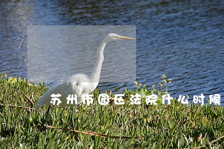 苏州市园区法院什么时候上班