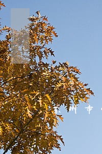 苏州市常年法律顾问咨询 苏州市常年法律顾问咨询