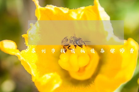苏州市找债权债务律师费用 苏州市找债权债务律师费用