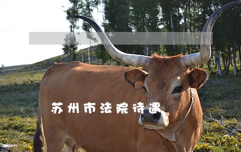 苏州市法院待遇 苏州市法院待遇