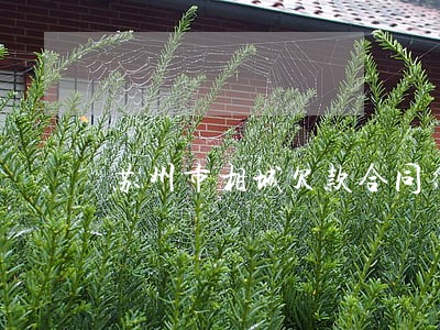 苏州市相城欠款合同律师 苏州市相城欠款合同律师