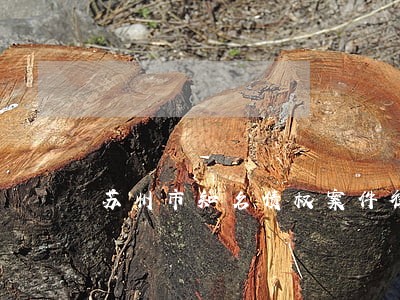 苏州市知名债权案件律师咨询服务 苏州市知名债权案件律师咨询服务