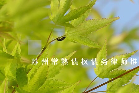 苏州常熟债权债务律师推荐 苏州常熟债权债务律师推荐
