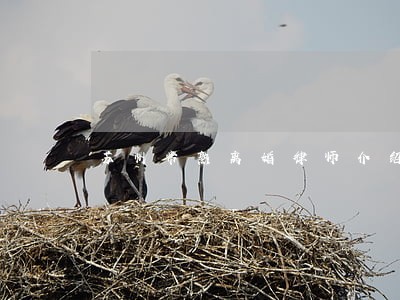 苏州常熟离婚律师介绍
