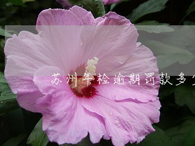 苏州年检逾期罚款多少 苏州年检逾期罚款多少
