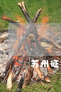 苏州征信逾期恢复