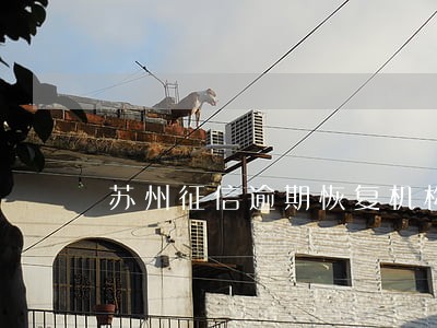 苏州征信逾期恢复机构 苏州征信逾期恢复机构