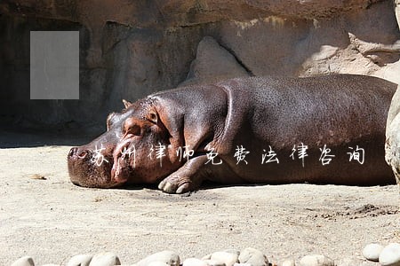 苏州律师免费法律咨询 苏州律师免费法律咨询