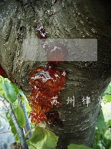 苏州律师咨询免费热线 苏州律师咨询免费热线