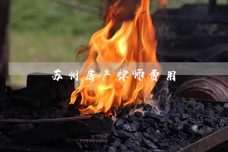 苏州房产律师费用 苏州房产律师费用