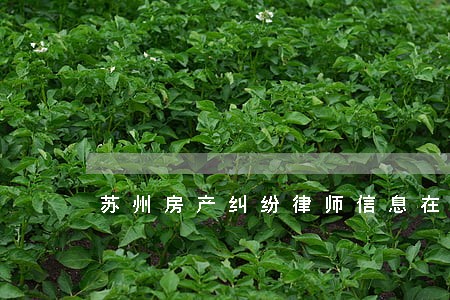 苏州房产纠纷律师信息在线查询 苏州房产纠纷律师信息在线查询