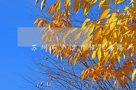 苏州房产过户律师事务所 苏州房产过户律师事务所
