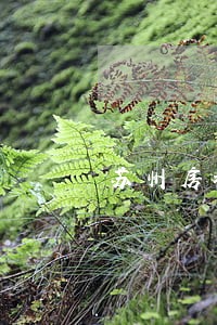 苏州房地产律师咨询 苏州房地产律师咨询