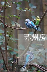 苏州房地产律师服务 苏州房地产律师服务