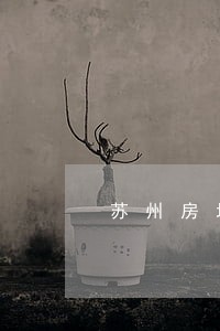 苏州房地产律师费用咨询 苏州房地产律师费用咨询