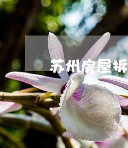 苏州房屋拆迁律师咨询 苏州房屋拆迁律师咨询