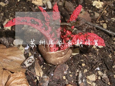 苏州房贷逾期修复 苏州房贷逾期修复
