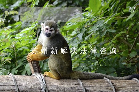 苏州新解决法律咨询 苏州新解决法律咨询