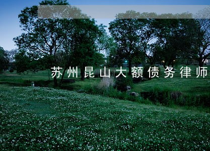 苏州昆山大额债务律师收费 苏州昆山大额债务律师收费