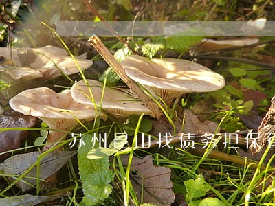 苏州昆山找债务担保律师找谁 苏州昆山找债务担保律师找谁