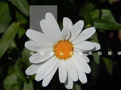 苏州昆山找债务担保律师排名 苏州昆山找债务担保律师排名
