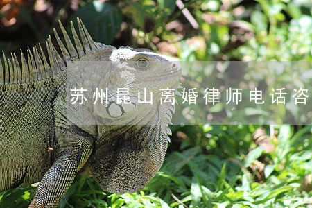 苏州昆山离婚律师电话咨询