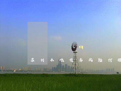 苏州本地债务风险代理律师哪里找 苏州本地债务风险代理律师哪里找