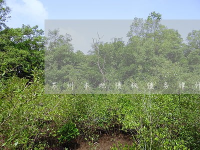 苏州本地债权债务律师收费标准 苏州本地债权债务律师收费标准