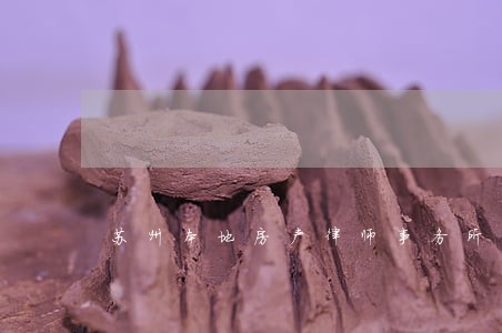 苏州本地房产律师事务所 苏州本地房产律师事务所