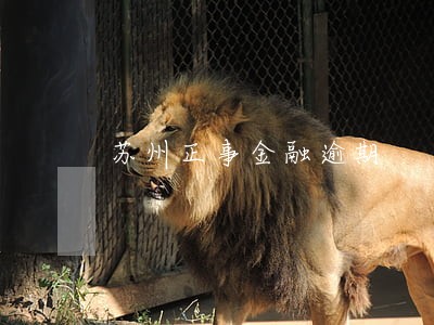 苏州正事金融逾期 苏州正事金融逾期