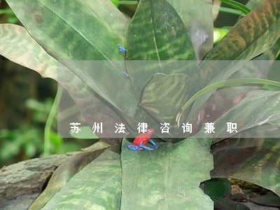 苏州法律咨询兼职 苏州法律咨询兼职