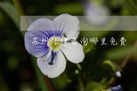 苏州法律咨询哪里免费 苏州法律咨询哪里免费