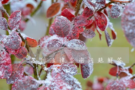 苏州法律咨询问题解答 苏州法律咨询问题解答