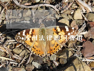 苏州法律顾问费用