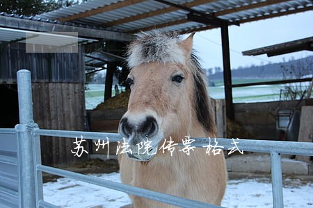 苏州法院传票格式