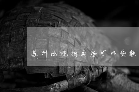苏州法院拍卖房可以贷款吗 苏州法院拍卖房可以贷款吗