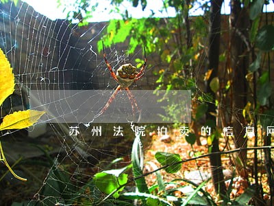 苏州法院拍卖的信息网