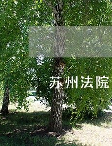 苏州法院老年人犯罪