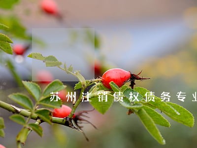 苏州注销债权债务专业律师 苏州注销债权债务专业律师